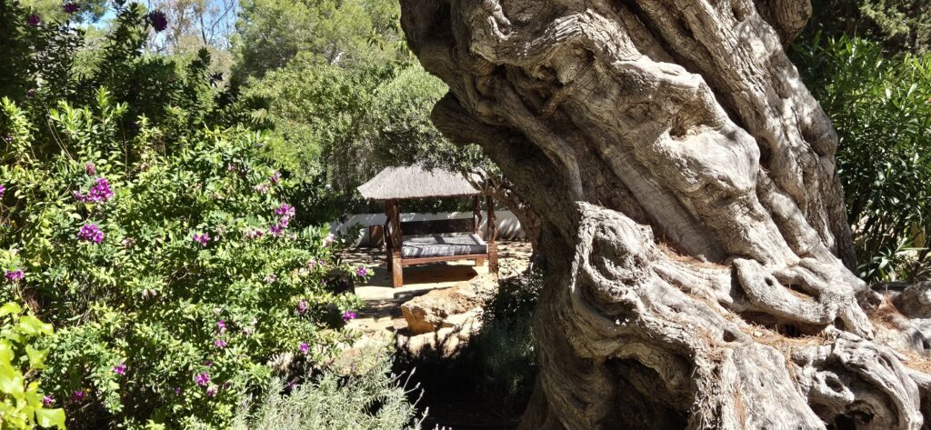 WhatsApp Image 2025-02-14 at 16.48.04