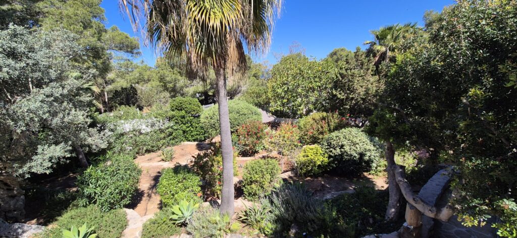 WhatsApp Image 2025-02-14 at 16.48.06